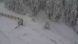 Přístup na běžeckou trať