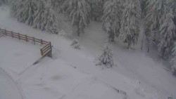 Přístup na běžeckou trať