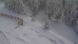 Přístup na běžeckou trať