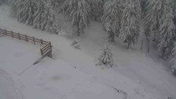 Přístup na běžeckou trať