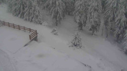 Přístup na běžeckou trať