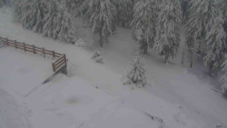 Přístup na běžeckou trať