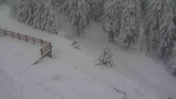 Přístup na běžeckou trať