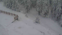 Přístup na běžeckou trať