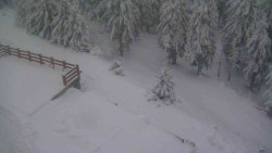 Přístup na běžeckou trať