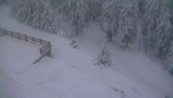 Přístup na běžeckou trať