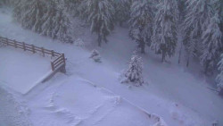 Přístup na běžeckou trať