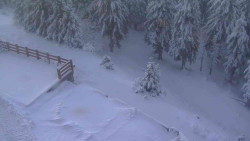 Přístup na běžeckou trať