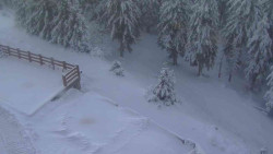 Přístup na běžeckou trať