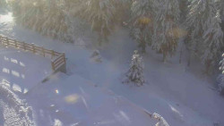 Přístup na běžeckou trať