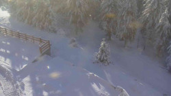 Přístup na běžeckou trať