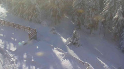 Přístup na běžeckou trať