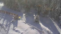 Přístup na běžeckou trať