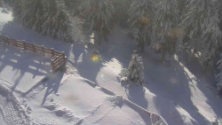 Přístup na běžeckou trať