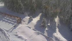 Přístup na běžeckou trať