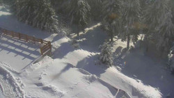 Přístup na běžeckou trať