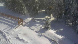 Přístup na běžeckou trať