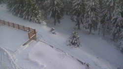 Přístup na běžeckou trať