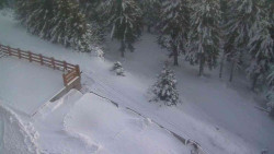 Přístup na běžeckou trať