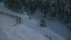 Přístup na běžeckou trať