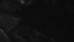 Přístup na běžeckou trať