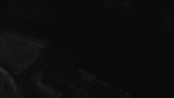 Přístup na běžeckou trať