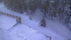 Přístup na běžeckou trať