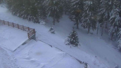 Přístup na běžeckou trať