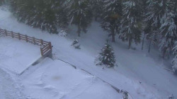 Přístup na běžeckou trať