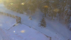 Přístup na běžeckou trať