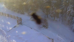 Přístup na běžeckou trať