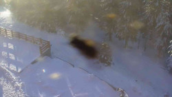 Přístup na běžeckou trať