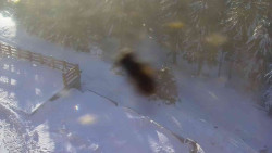 Přístup na běžeckou trať