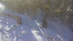 Přístup na běžeckou trať