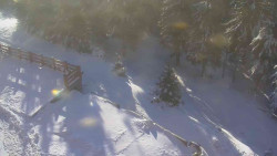 Přístup na běžeckou trať