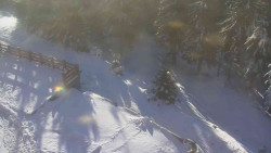 Přístup na běžeckou trať