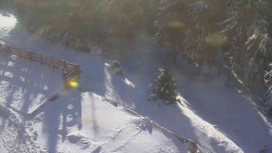 Přístup na běžeckou trať