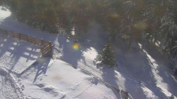 Přístup na běžeckou trať