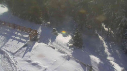 Přístup na běžeckou trať