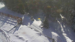 Přístup na běžeckou trať