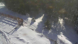 Přístup na běžeckou trať