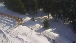 Přístup na běžeckou trať