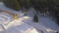 Přístup na běžeckou trať