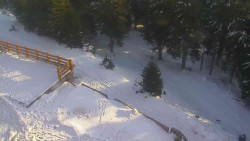 Přístup na běžeckou trať