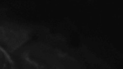 Přístup na běžeckou trať