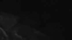 Přístup na běžeckou trať