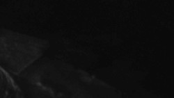 Přístup na běžeckou trať