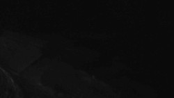 Přístup na běžeckou trať