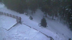 Přístup na běžeckou trať