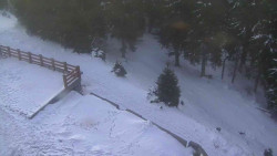 Přístup na běžeckou trať